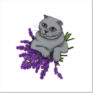 Scottish Fold Cat with a bouquet of lavender Posters and Art